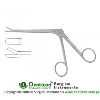 Spurling Leminectomy Rongeur Straight Stainless Steel, 15 cm - 6" Bite Size 4 x 10 mm